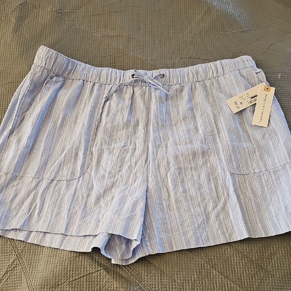 Women's Light Blue Striped Shorts
